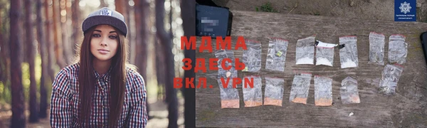 сатива Алзамай