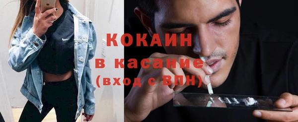 гашик Алексин