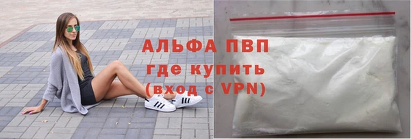гашик Алексин