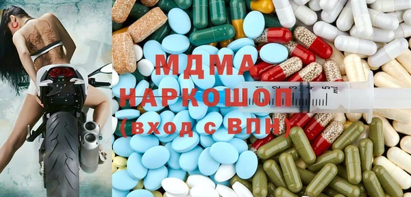 гашик Алексин