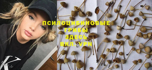 гашик Алексин