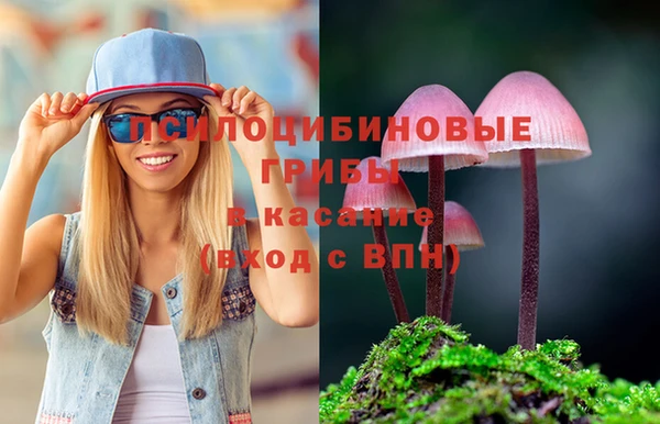 гашик Алексин