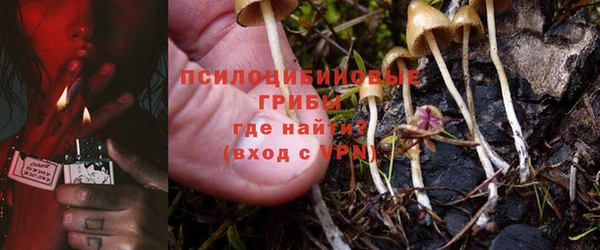 бутират Алексеевка