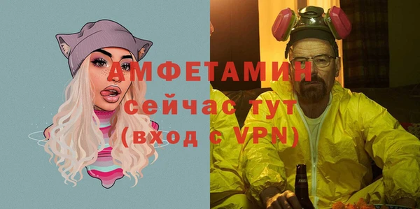 сатива Алзамай