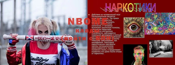 гашик Алексин