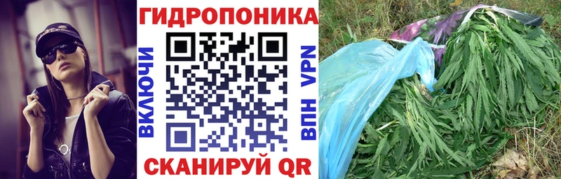 Бошки Шишки сатива  Шацк 